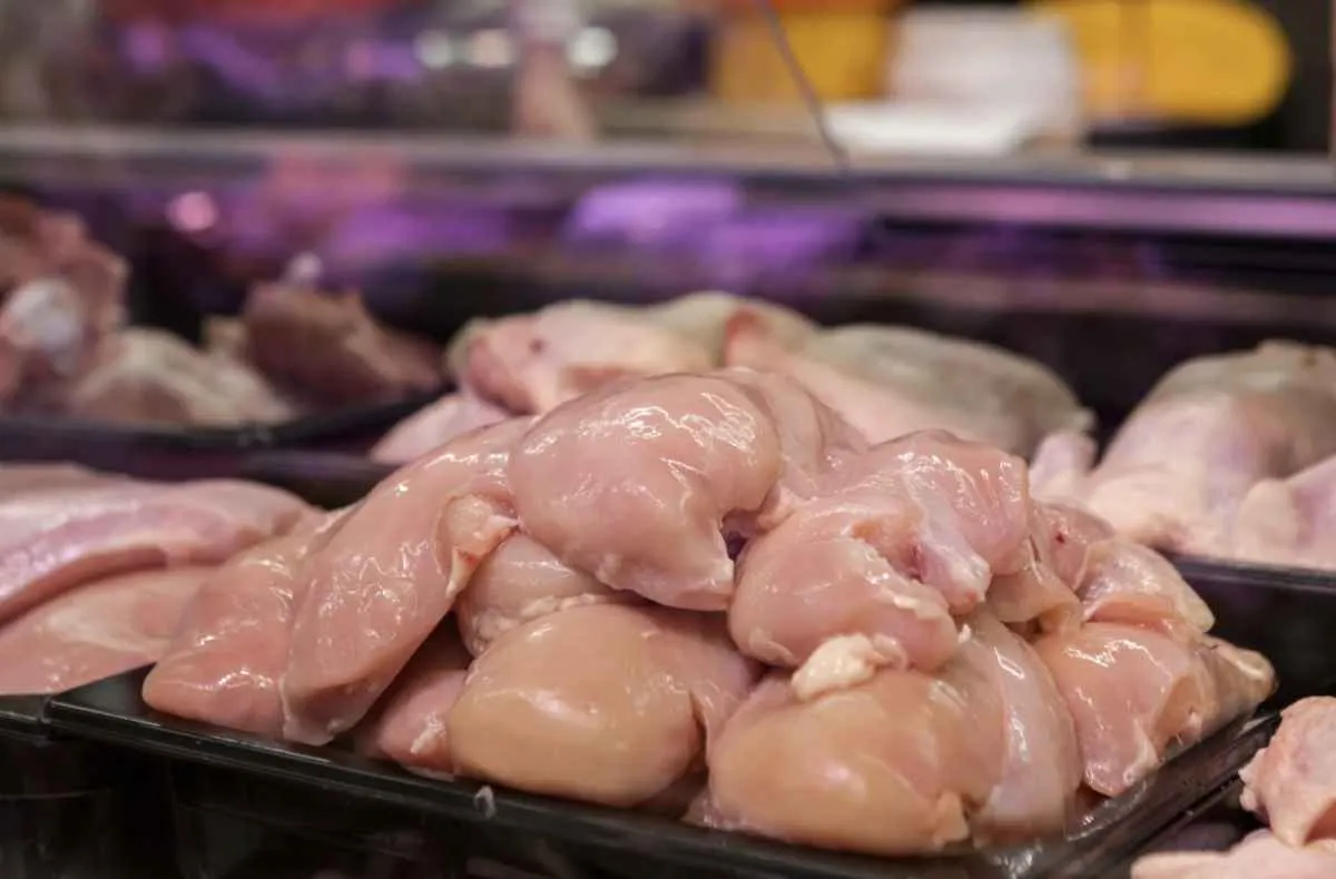 Queda nos preços do frango vivo e da carne continua com mercado pressionado