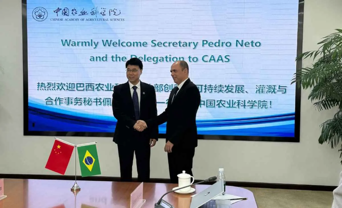 Missão do Mapa à China reforça diálogo sobre sustentabilidade e cooperação agropecuária