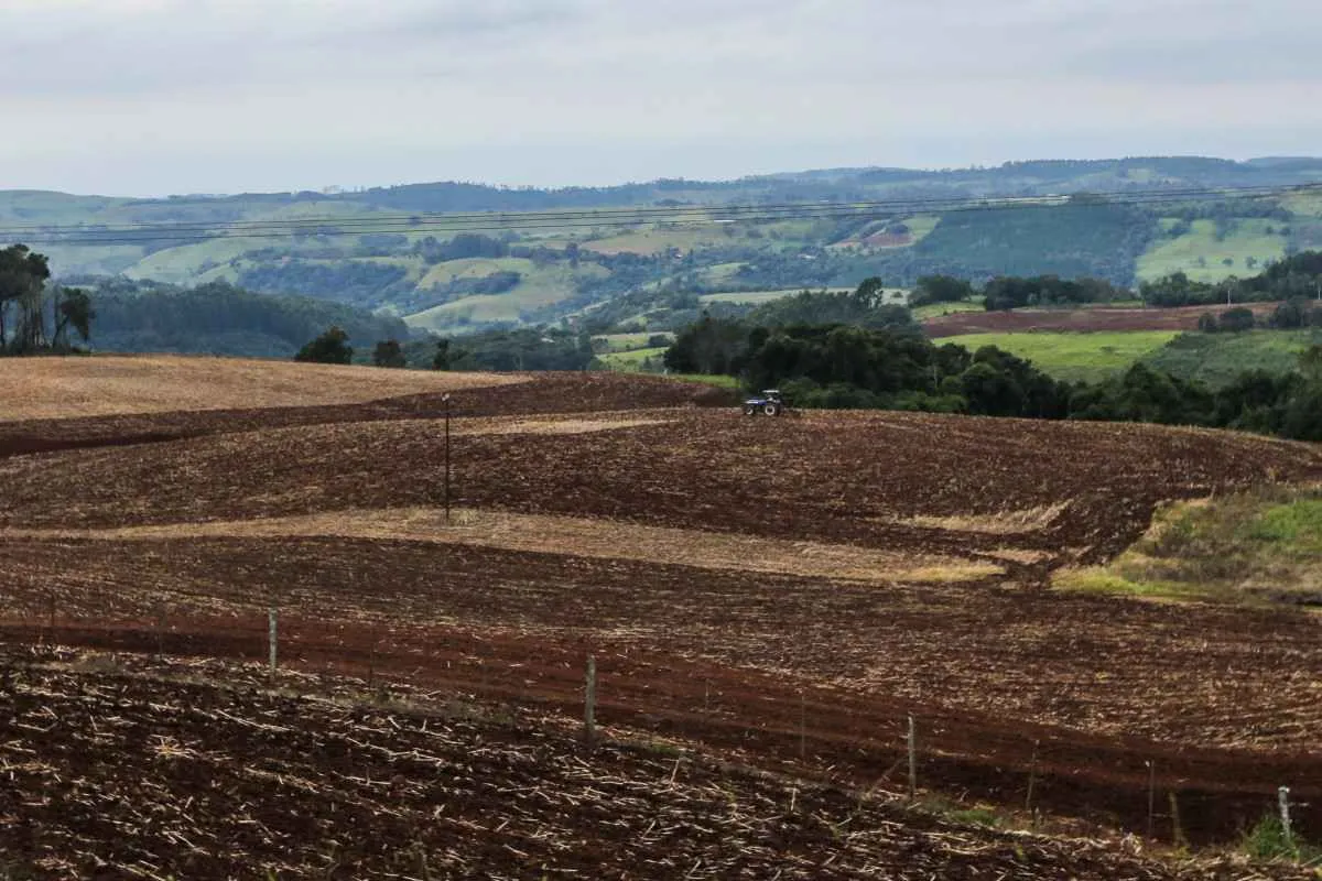 Sudoeste do Paraná inicia vazio sanitário da soja, que segue até 10 de setembro