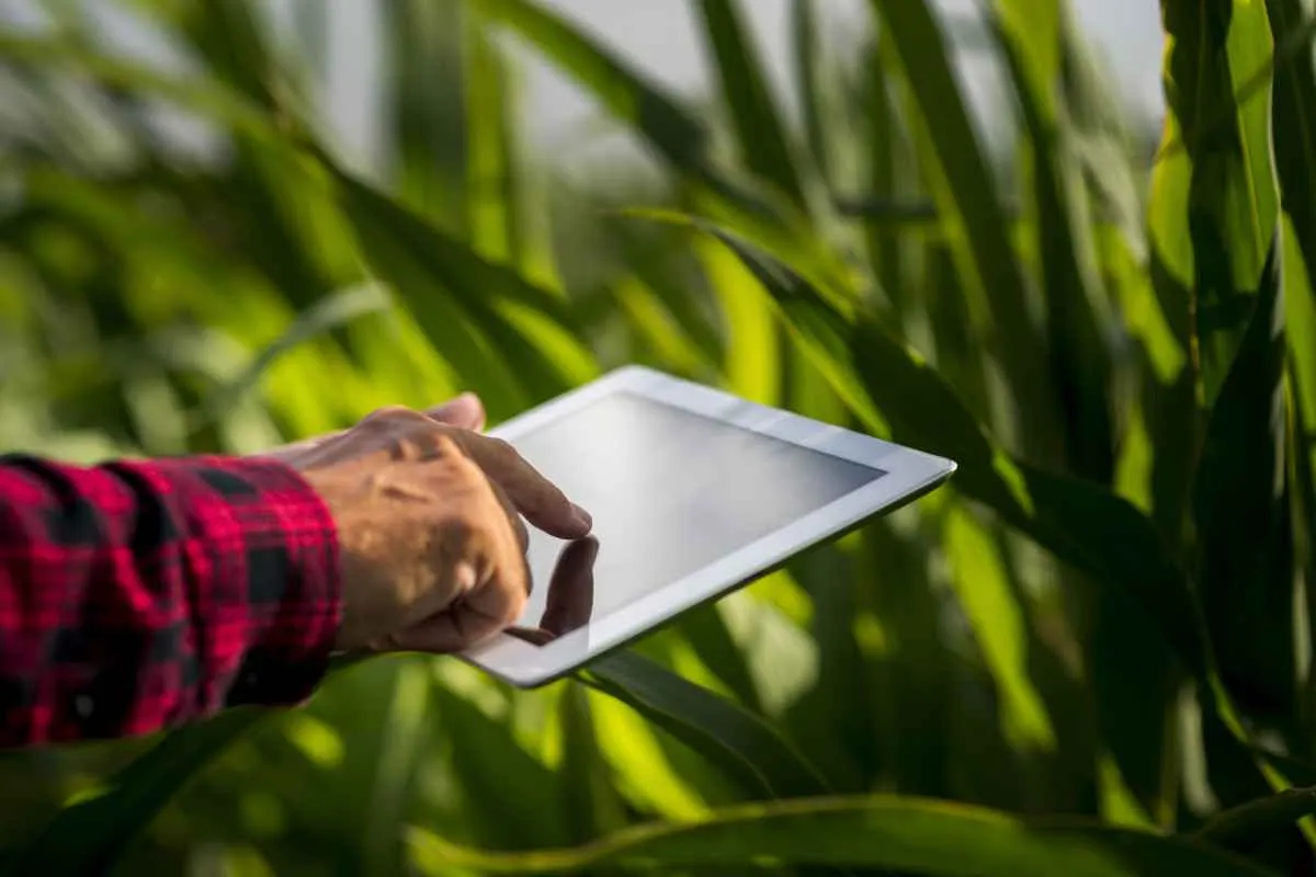 Demanda por crédito no agro supera R$ 1 trilhão e impulsiona novos modelos de financiamento