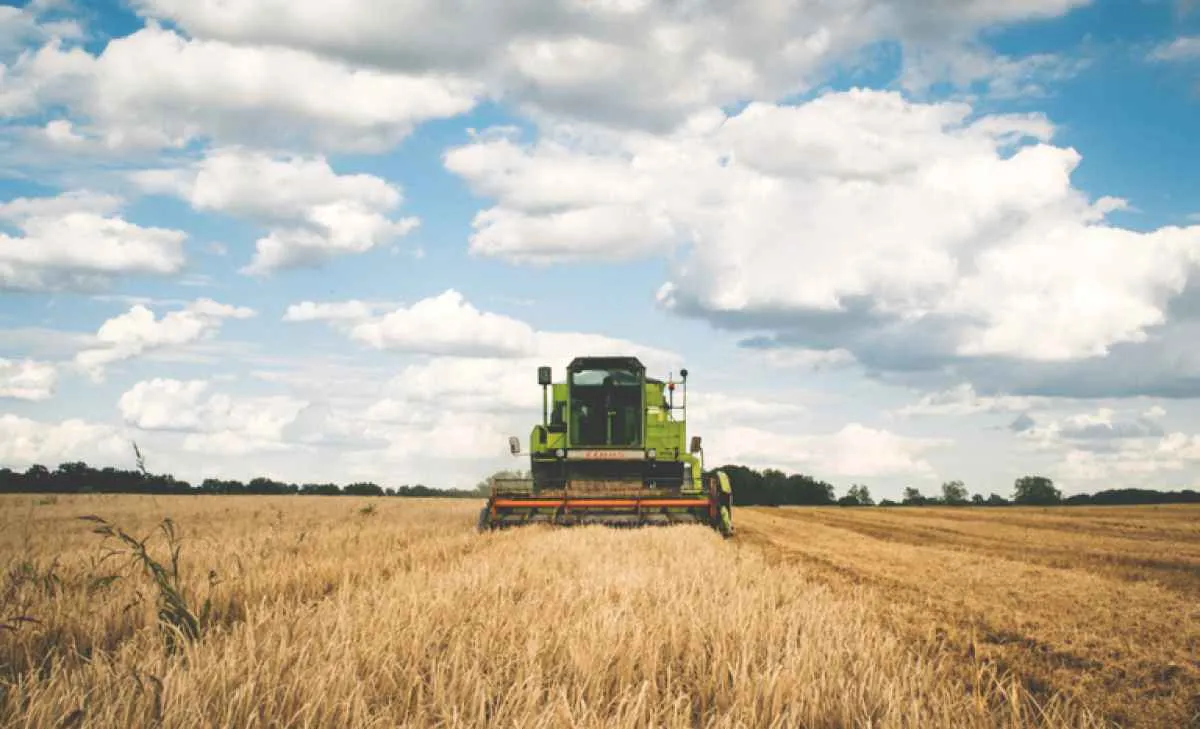Governo libera novos recursos para ampliar contratação do seguro rural até agosto de 2025