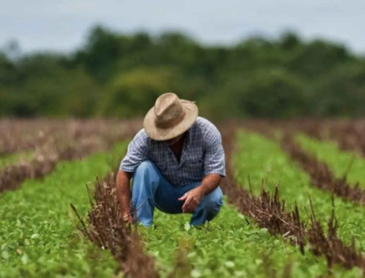 FAEP orienta produtores sobre renegociação de parcelas de crédito rural com vencimento em 2025