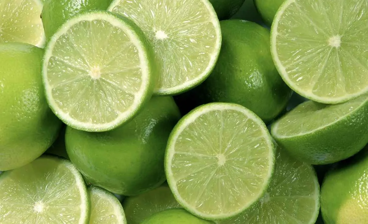 Oferta reduzida e exportações aquecidas impulsionam os preços do limão tahiti no mercado interno. Foto: Canva