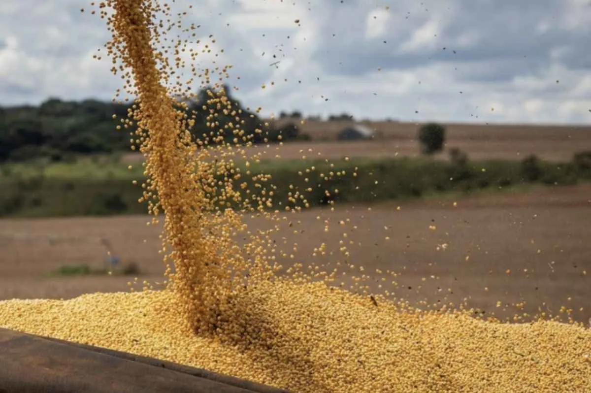 CNA e Ministério da Agricultura discutem modernização da classificação da soja
