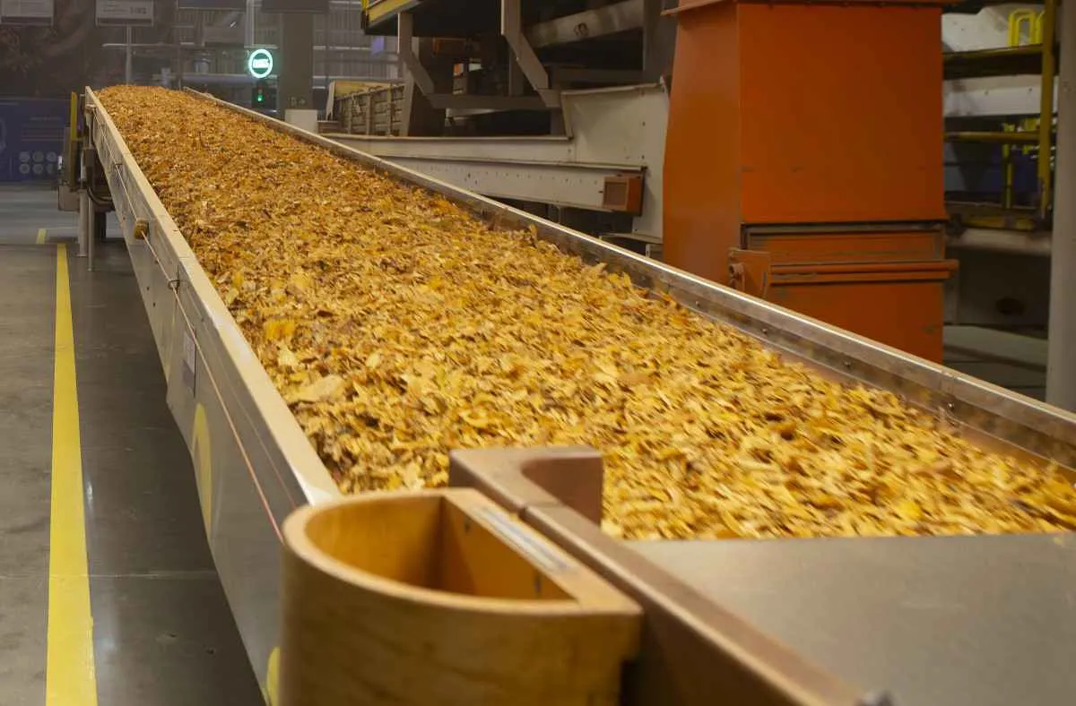 Brasil lidera exportações de tabaco com US$ 1,36 bi no 1º semestre