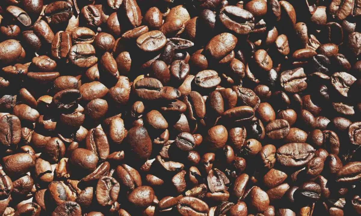 Indicador do café robusta cai pela metade em seis meses