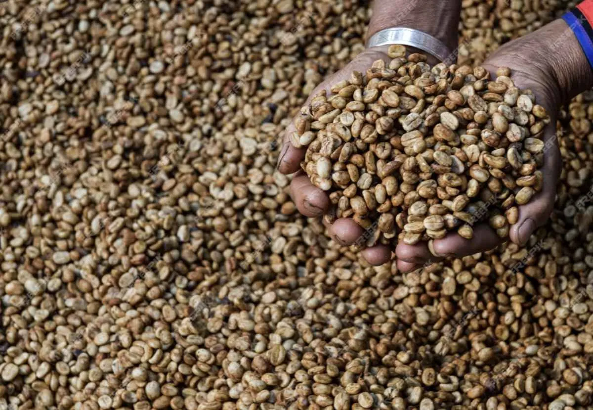 Tarifas dos EUA ameaçam mercado de café brasileiro