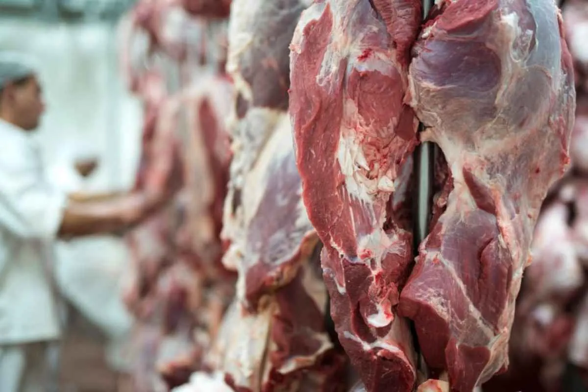 Carne bovina sofre com tarifa dos EUA e queda nos preços em MT