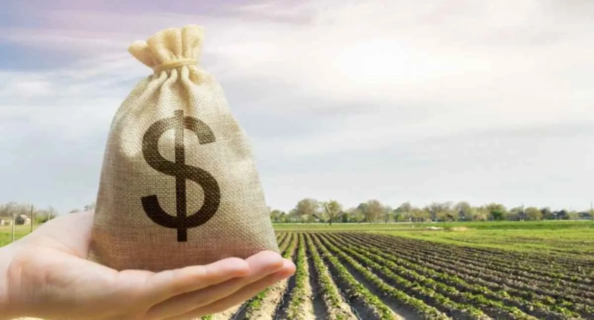 Taxa de juros do FCO sobe e pressiona crédito ao produtor rural