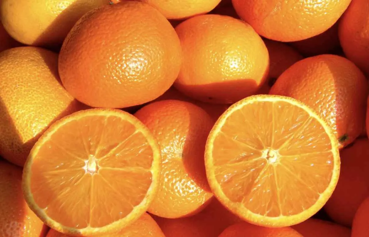 Safra 25/26 de frutas avança com vendas no mercado interno
