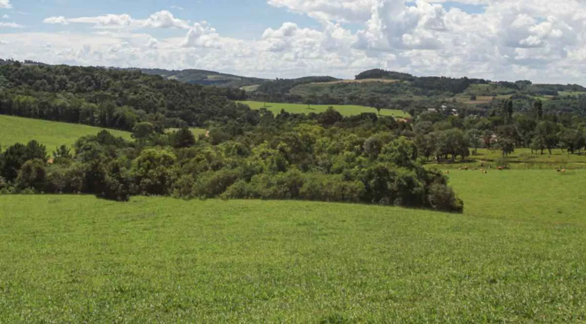 Sistema FAEP celebra avanço no licenciamento ambiental