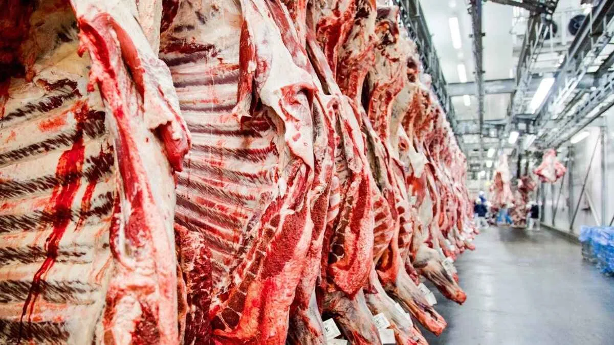 ABIEC reforça importância do diálogo após tarifa dos EUA