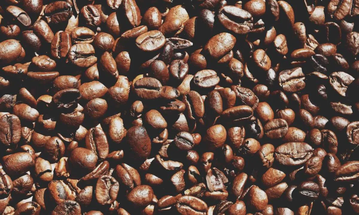 Café tem queda expressiva em junho e fecha mês com recuo superior a 20%