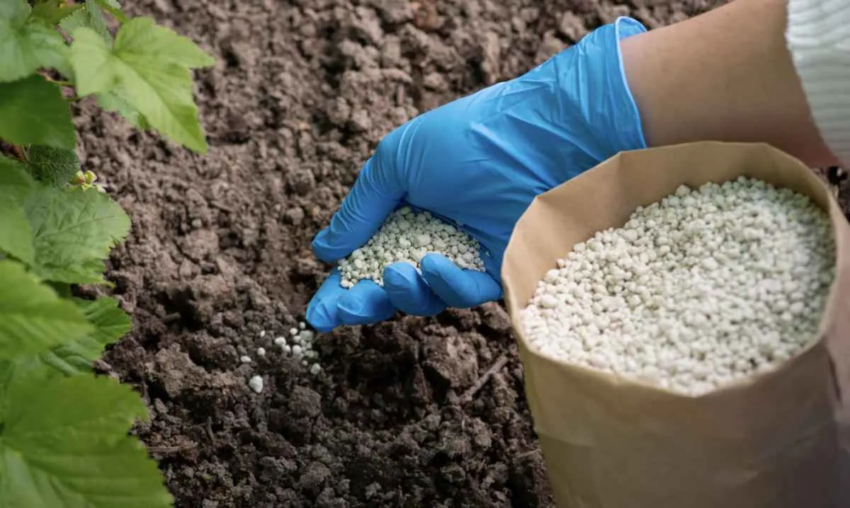 Alta dos fosfatados pressiona mercado internacional de fertilizantes
