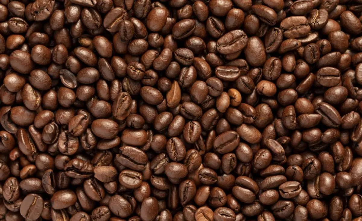 Tarifas de importação sustentam volatilidade no mercado de café
