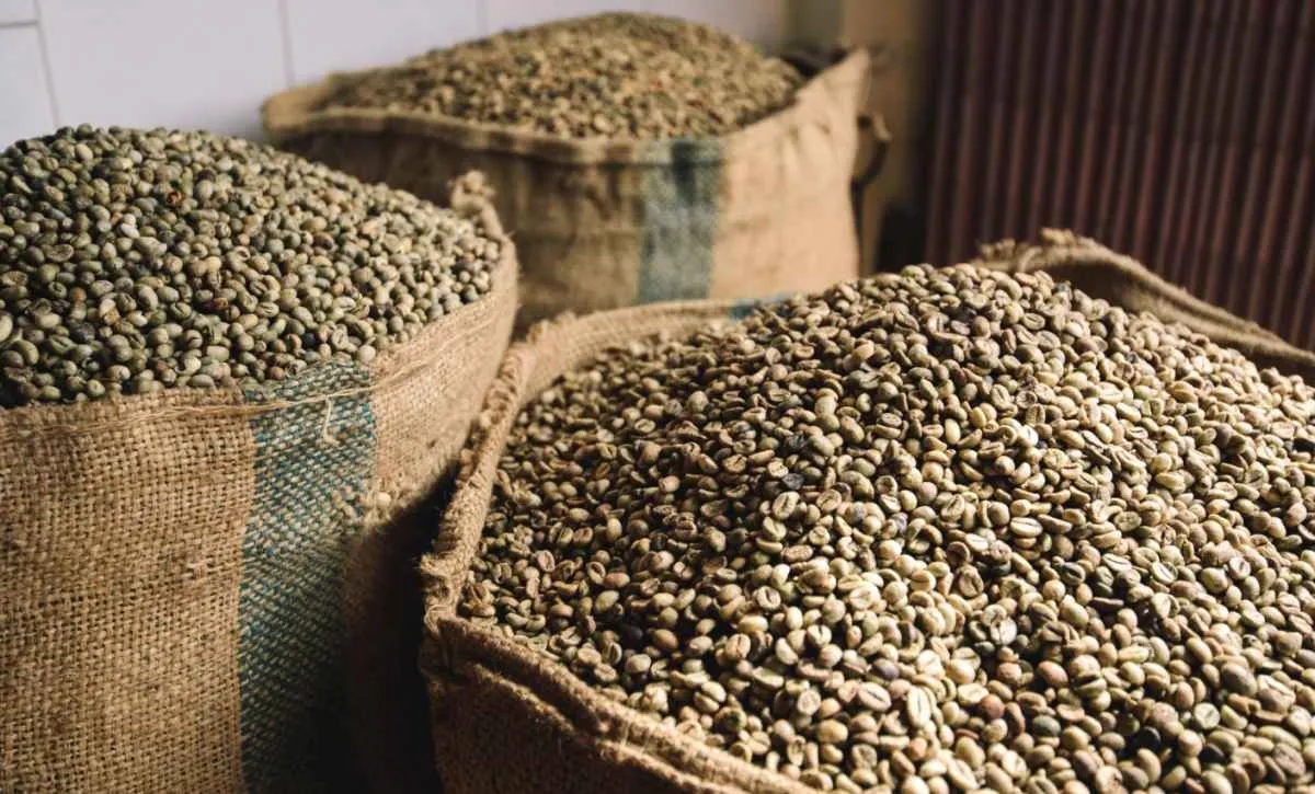 Exportação de café do Brasil bate recorde e fatura US$ 14,7 bi 