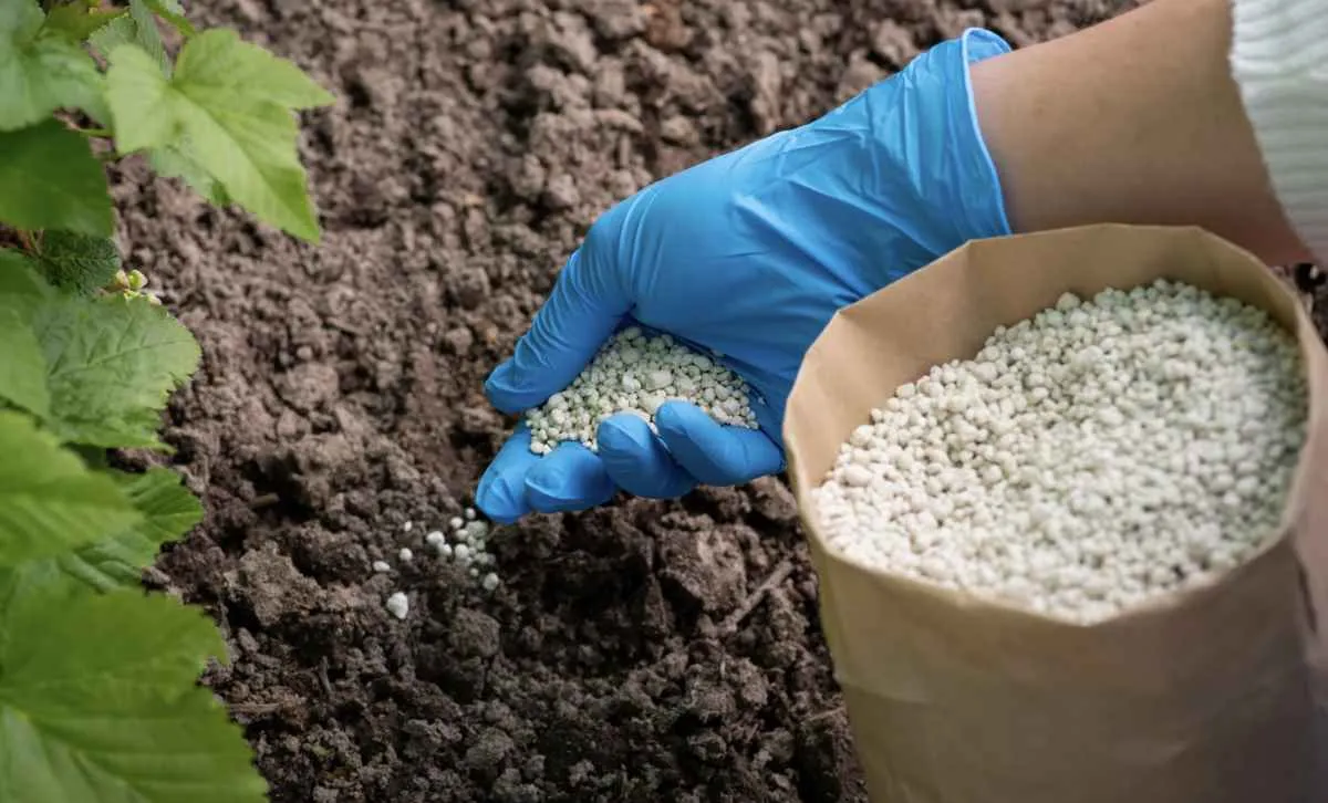 Entregas de fertilizantes crescem 10,7% no primeiro quadrimestre de 2025