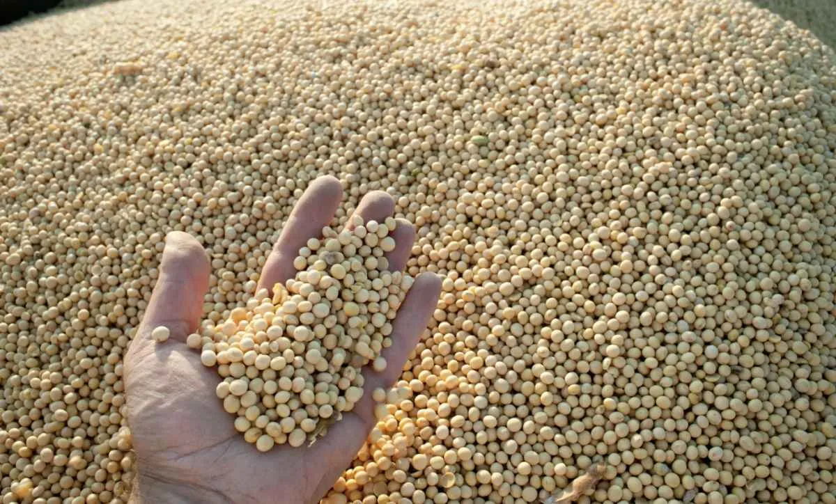 Junho registra alta nos custos da produção rural no RS