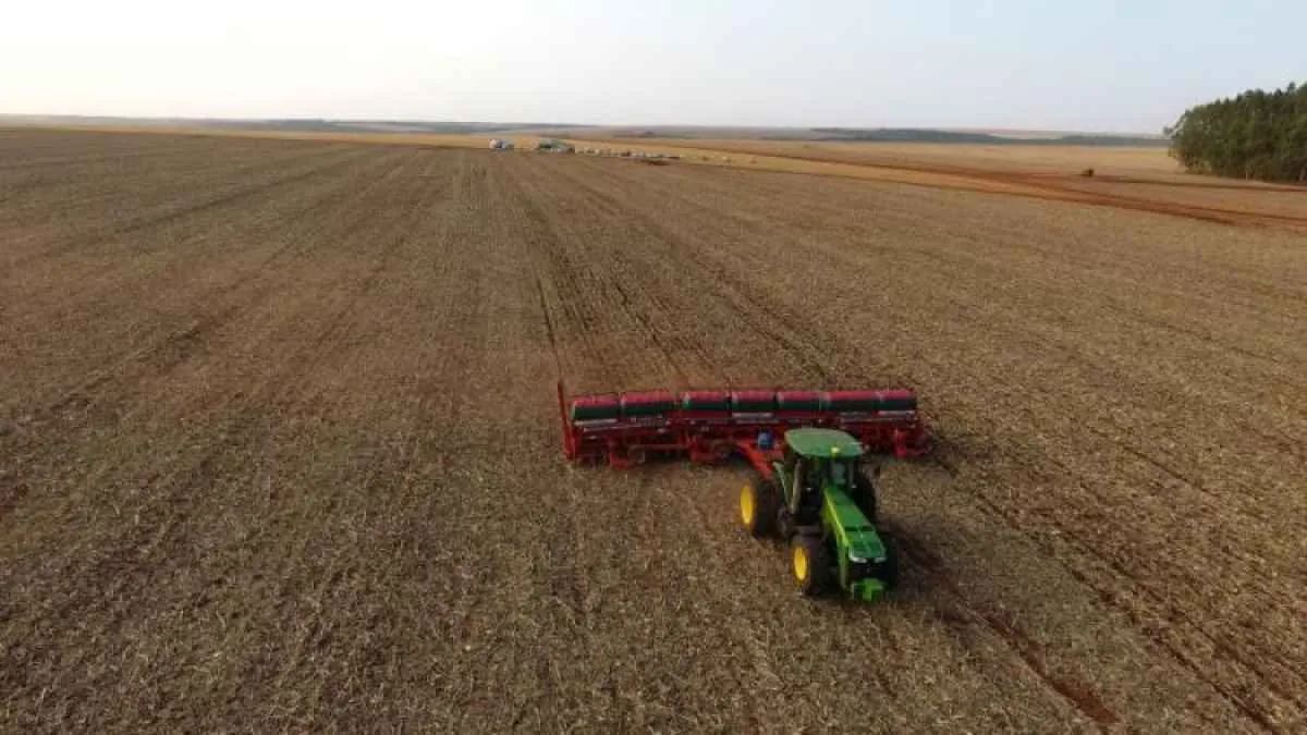 Mato Grosso do Sul deve liderar crescimento agropecuário do Brasil em 2025