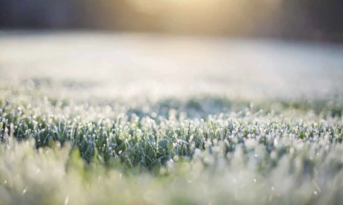 Previsão do tempo para o final de semana (5 e 6 de julho de 2025) no Brasil