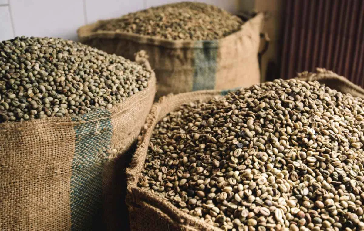 Mercado de açúcar, café e cacau recua no segundo semestre