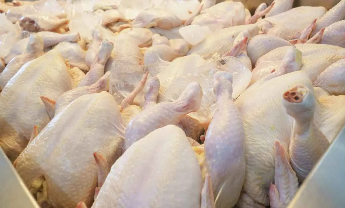Carne de frango recua com menos força em julho