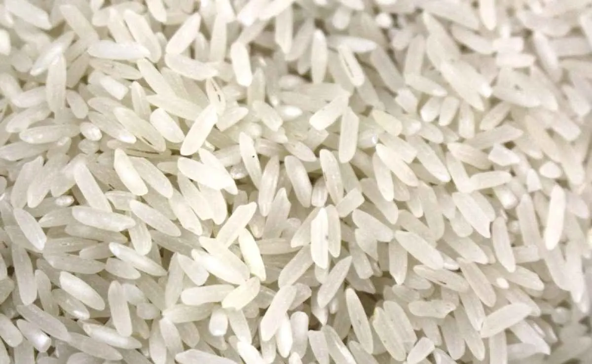 Brasil exporta 389 mil toneladas de arroz beneficiado em 2025