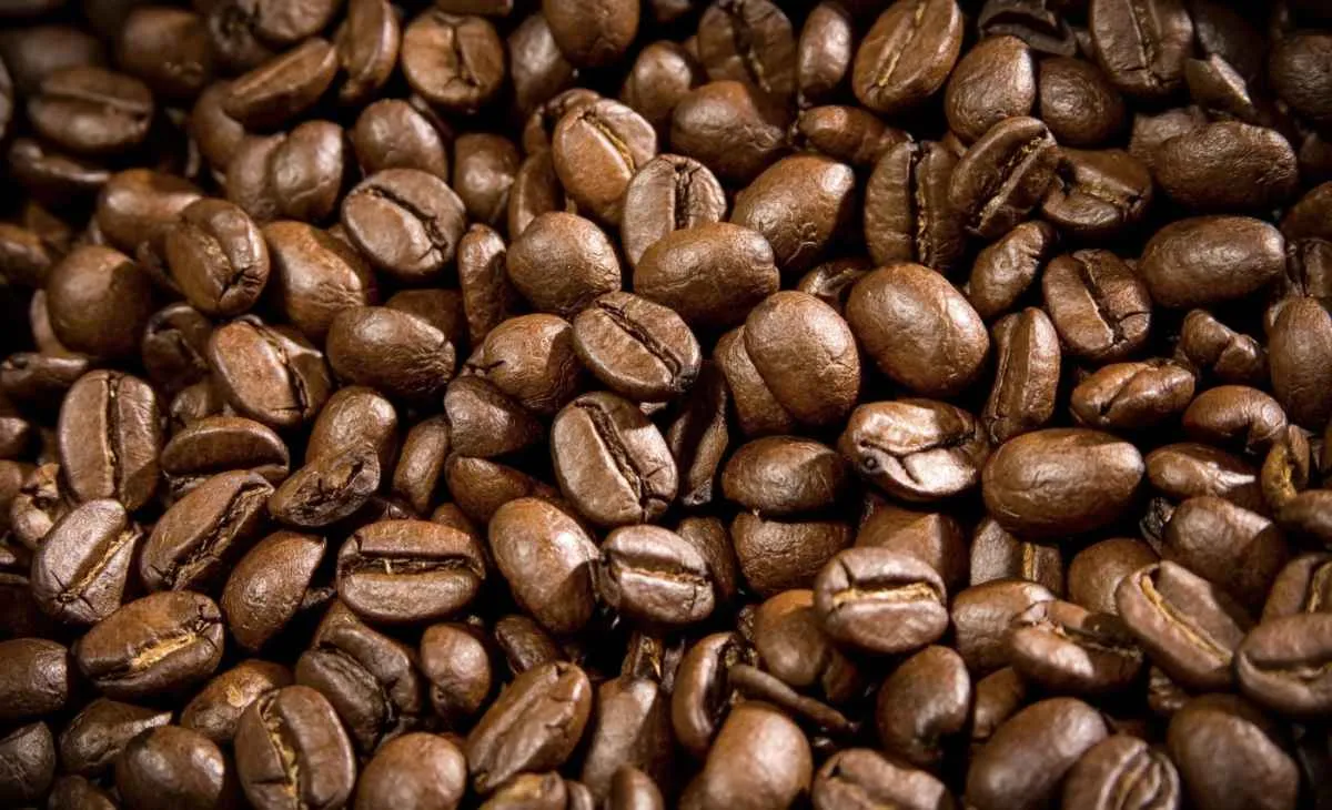 Mercado do café reage a novas tarifas dos EUA
