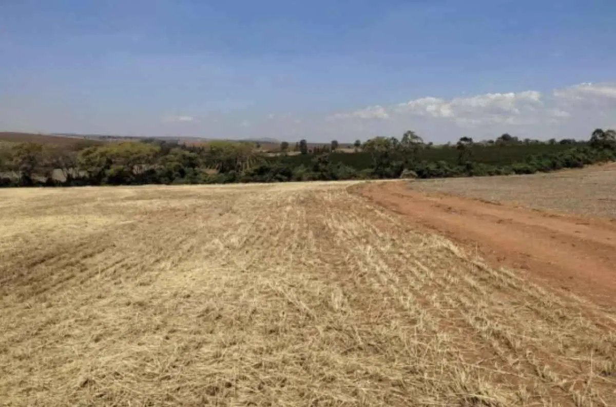 Declaração do vazio sanitário em Minas Gerais vai até 31 de julho