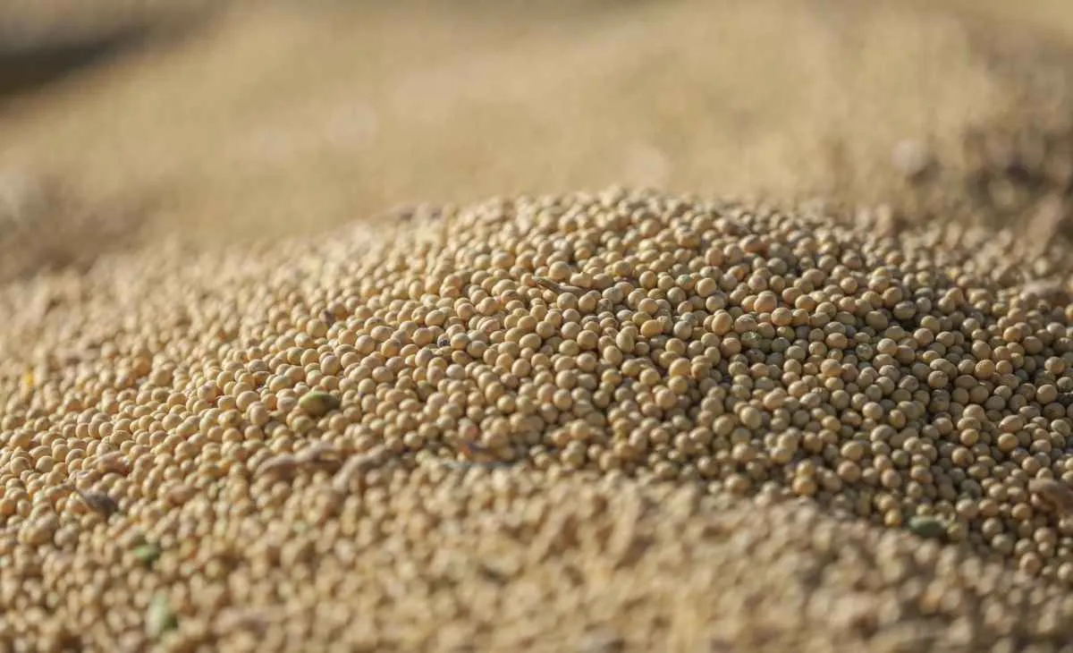 Capacidade do Brasil de abastecer a China preocupa mercado