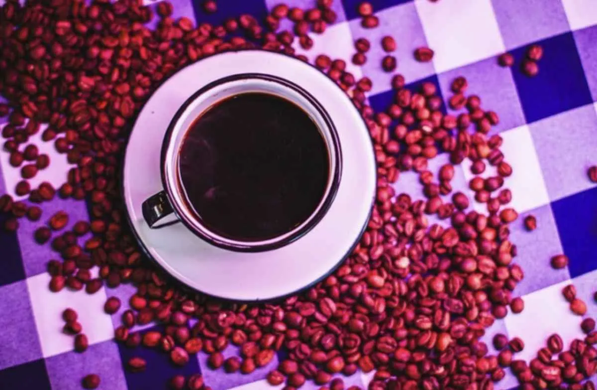 CNA destaca avanço na modernização do Conselho da Política do Café
