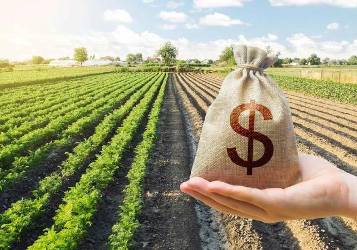 Aprosoja cobra urgência na aprovação de projeto que prevê securitização de dívidas no RS