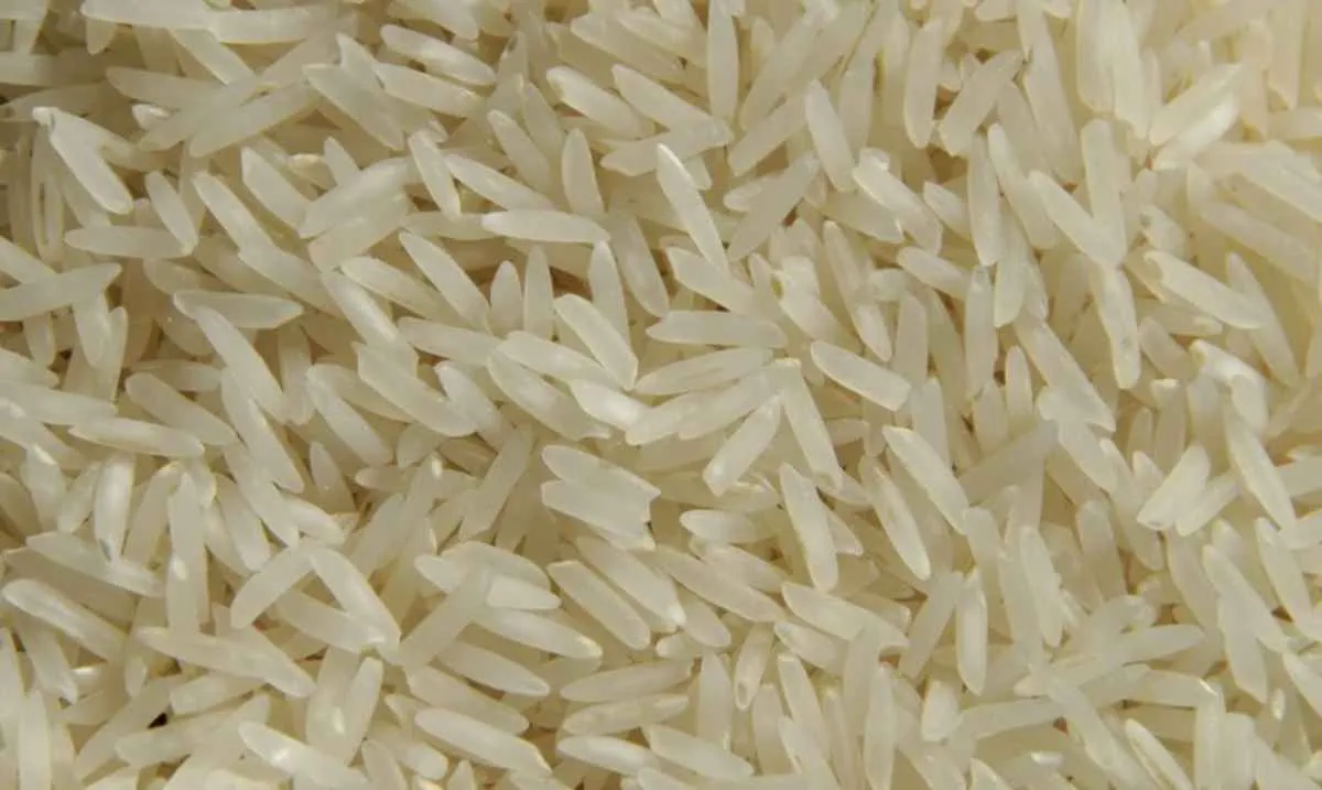 Queda nos preços do arroz desafia margens da indústria