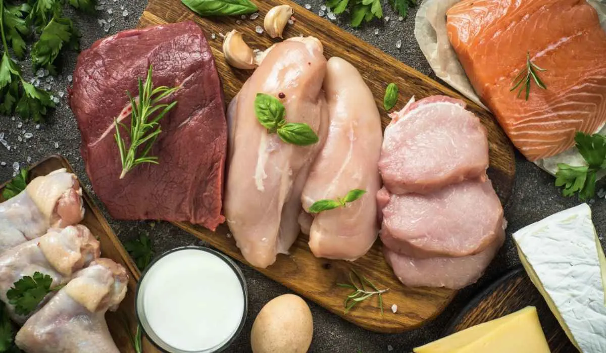 Brasil projeta crescimento na produção e exportação de proteína animal