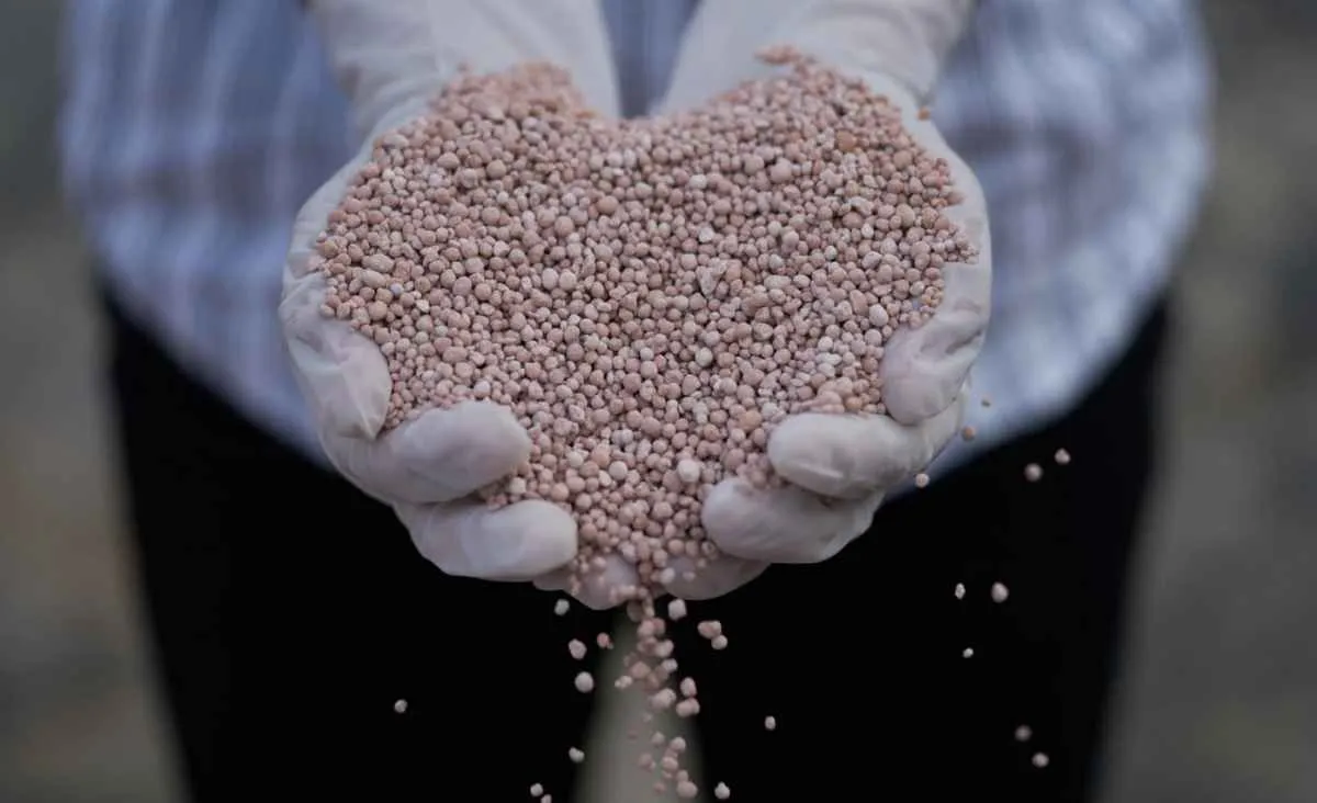 Brasil amplia importações de fertilizantes em 2025