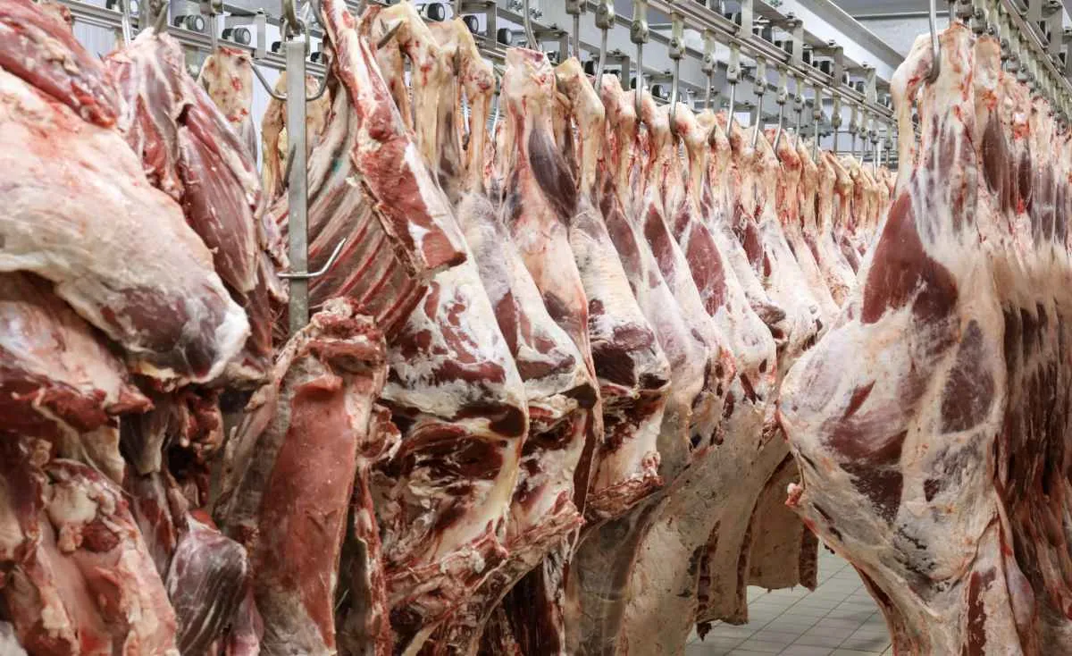 Abate de animais e ovos impulsionam pecuária no 2º trimestre