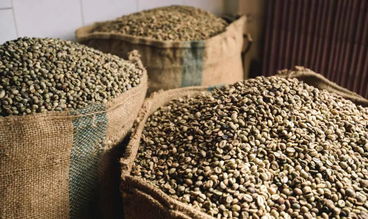 Cecafé alerta sobre processo BR x EUA