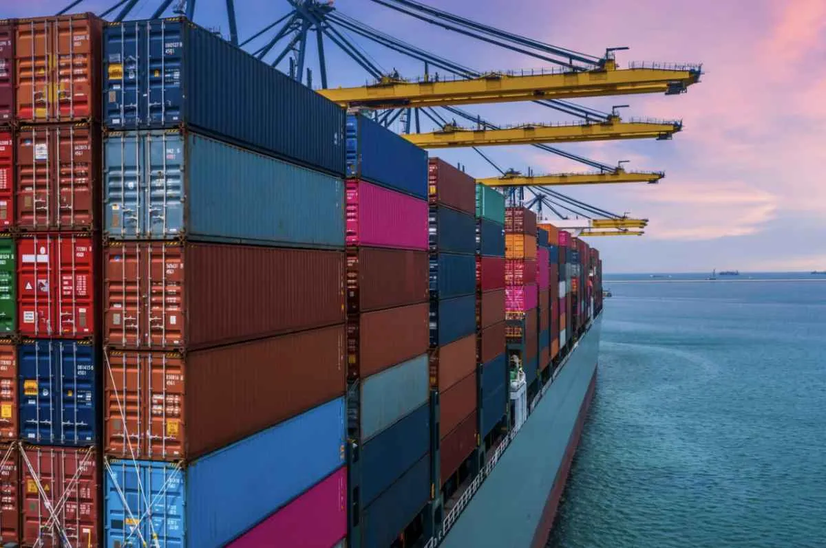 Exportações de carne de frango avançam em agosto