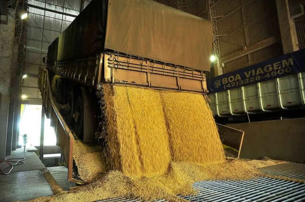 Crise no agro: golpes de cerealistas começam a se tornar comuns em 2025