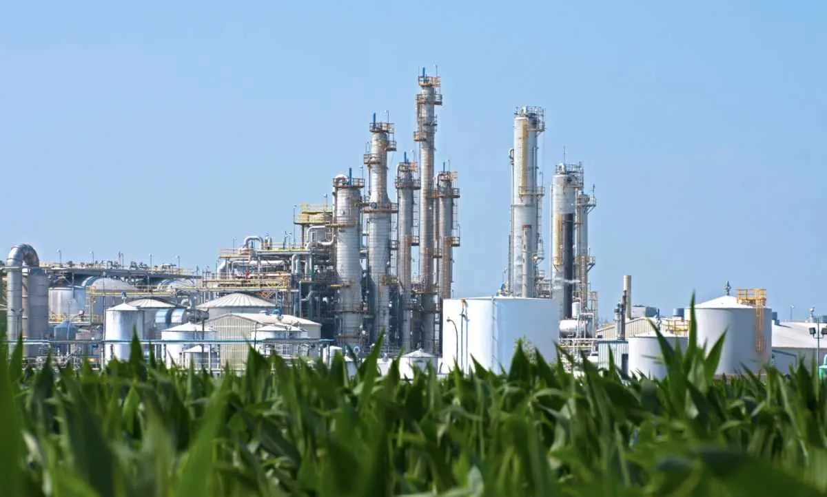Agroindústria tem o pior mês de junho desde 2019, revela FGVAgro