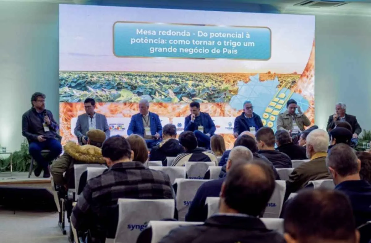 CNA discute estratégias para fortalecer a competitividade do trigo no Brasil