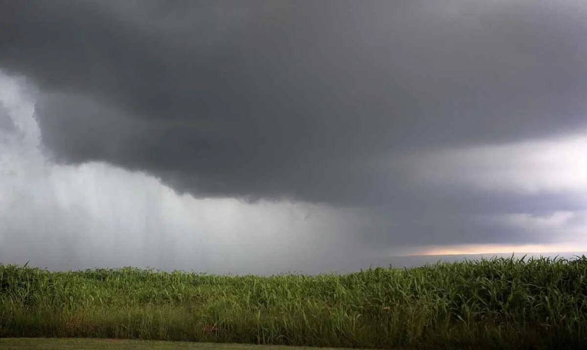 Previsão do tempo indica risco de geada e temporais pelo país