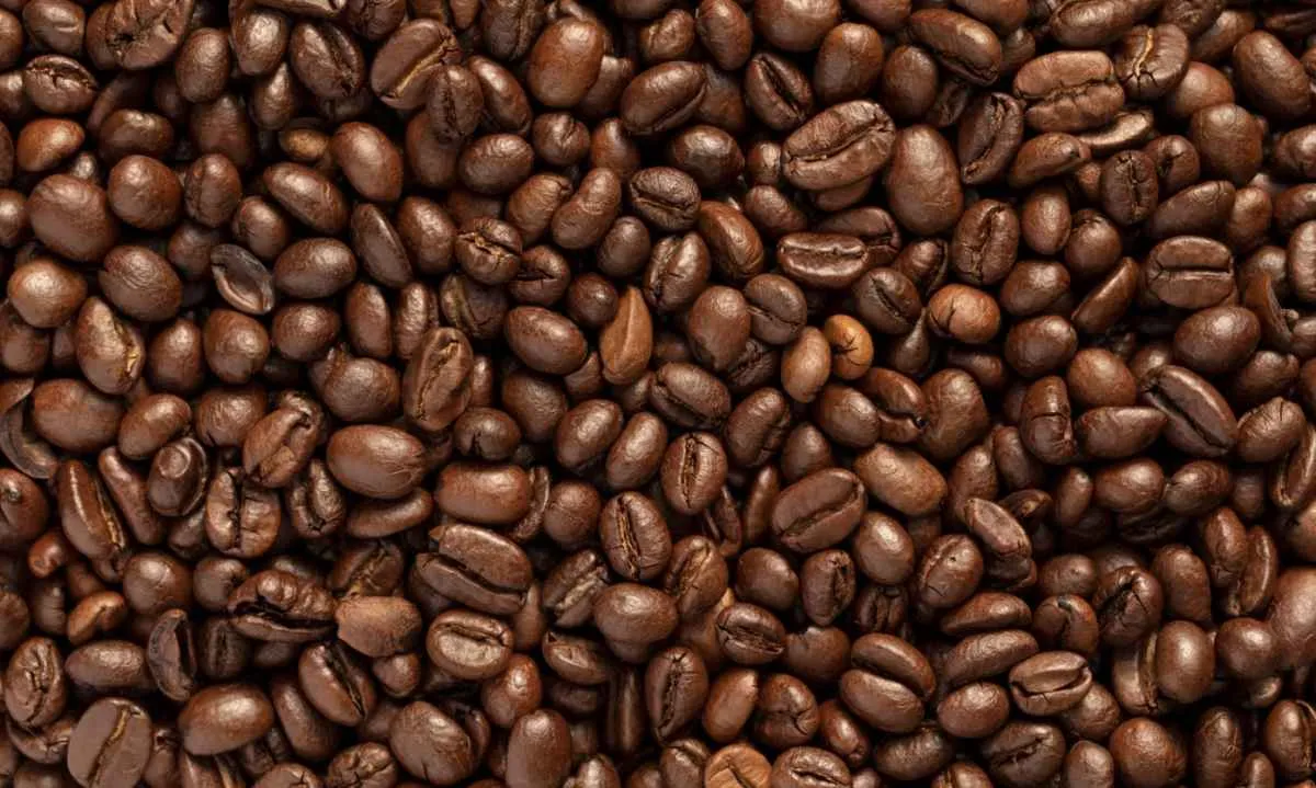 Exportações de café têm faturamento quase estável em agosto