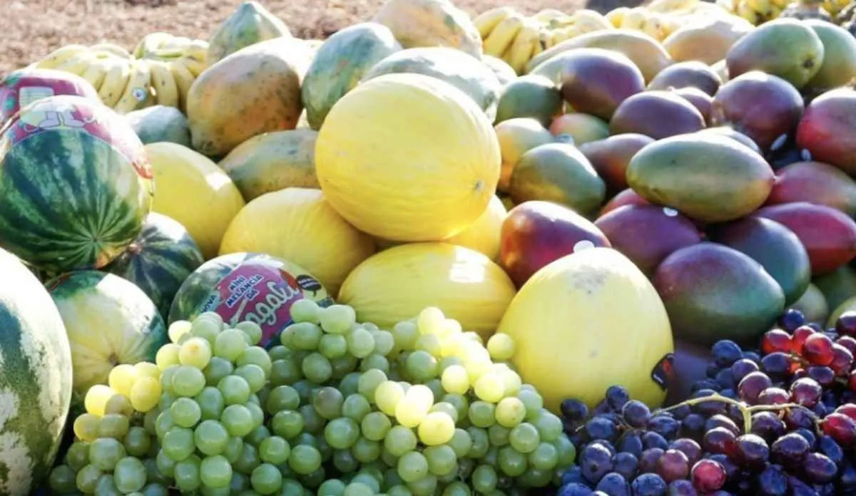 CNA discute impactos do tarifaço dos EUA na cadeia de frutas