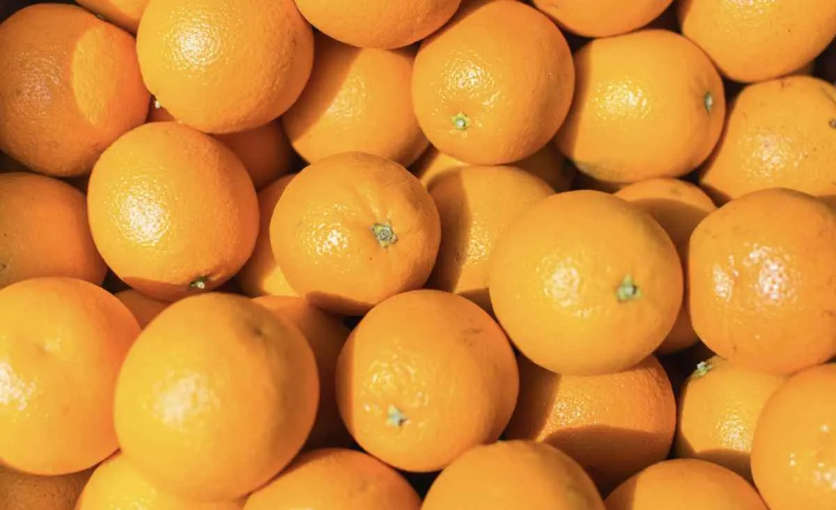 Demanda aquecida impulsiona preços da laranja