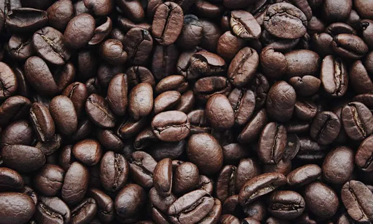 Preços do café sobem e voltam aos níveis de junho