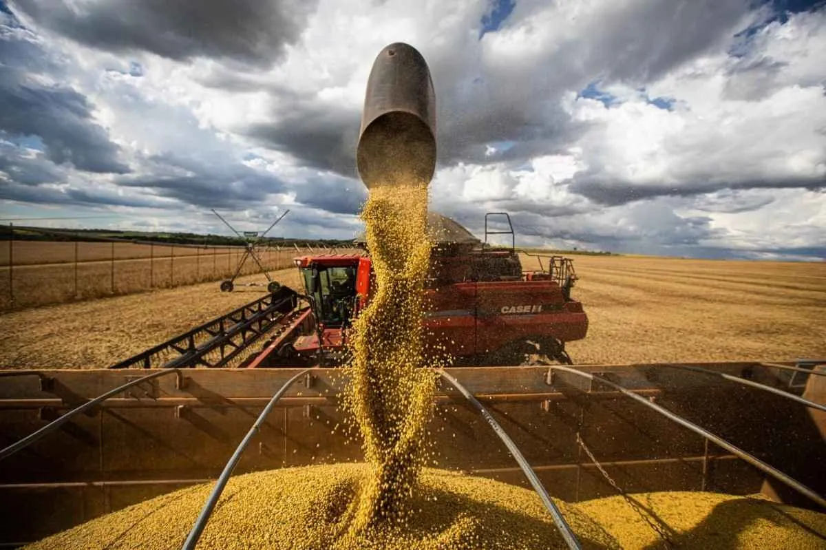 Goiás bate recorde de soja com 20,4 milhões de toneladas