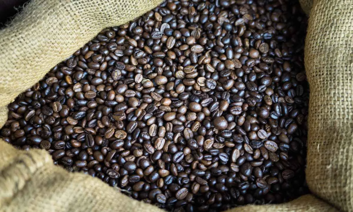 Exportações de café do Brasil registram 2,7 mi de sacas em julho