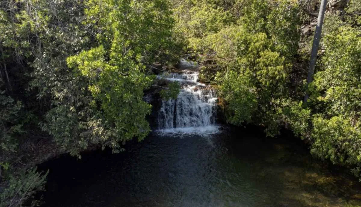 Cerrado em Pé remunera produtores que preservam áreas em Goiás