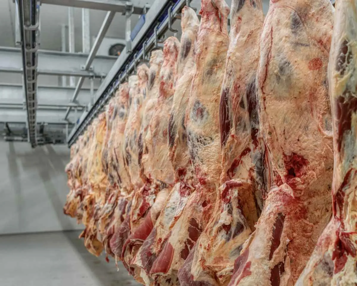Filipinas abre mercado para carne bovina com osso e miúdos do Brasil
